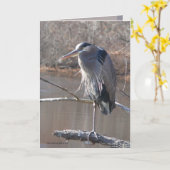 On One Leg Karte (Gelbe Blume)