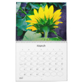 On-the-Go-Sonnenblumenkalender Kalender (Mär 2027)