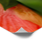 On the Green Poster (Ecke)