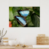 On the Green Poster (Küche)