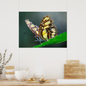 On the Green Poster (Küche)