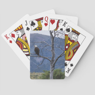 On Watch Playing Cards Spielkarten