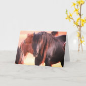 ONAQUI HERD WILD HORSE GREETING CARD KARTE (Gelbe Blume)