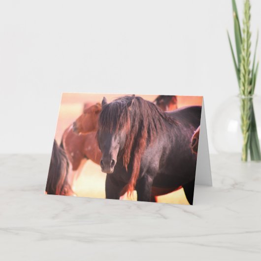 ONAQUI HERD WILD HORSE GREETING CARD KARTE (Vorderseite)