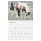 Onaqui - Kalender der Wilden Pferde (Mär 2027)