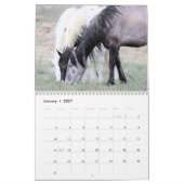 Onaqui - Kalender der Wilden Pferde (Jan 2027)