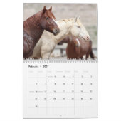 Onaqui - Kalender der Wilden Pferde (Feb 2027)