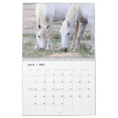 Onaqui - Kalender der Wilden Pferde (Mär 2027)