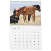 Onaqui - Kalender der Wilden Pferde (Jan 2027)