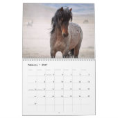 Onaqui - Kalender der Wilden Pferde (Feb 2027)