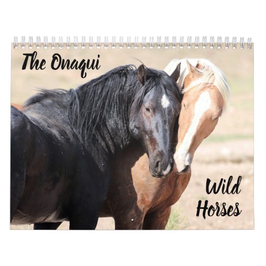 Onaqui - Kalender der Wilden Pferde (Titelbild)
