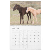 Onaqui - Kalender der Wilden Pferde (Mär 2027)