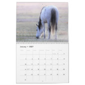 Onaqui - Kalender der Wilden Pferde (Jan 2027)