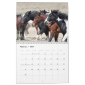 Onaqui - Kalender der Wilden Pferde (Feb 2027)