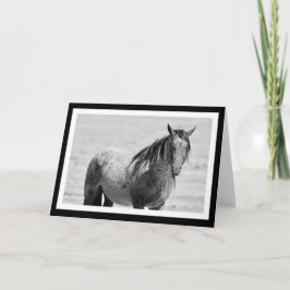 Onaqui Mountain Wild Horse leere Notizkarte. 5" x  Karte