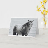 Onaqui Mountain Wild Horse leere Notizkarte. 5" x  Karte (Gelbe Blume)
