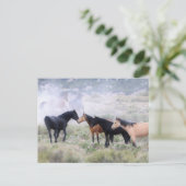 Onaqui Wild Horses Postkarte (Stehend Vorderseite)