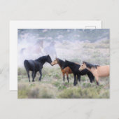 Onaqui Wild Horses Postkarte (Vorne/Hinten)