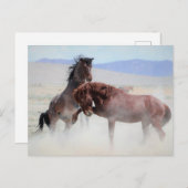 Onaqui Wild Horses Postkarte (Vorne/Hinten)