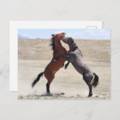 Onaqui Wild Horses Postkarte (Vorne/Hinten)