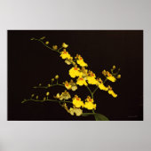 Onc Yellow Orchid Art Poster -60x40 - oder kleiner (Vorne)