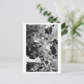 Once upon a time in the woods postkarte (Stehend Vorderseite)