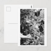 Once upon a time in the woods postkarte (Vorne/Hinten)