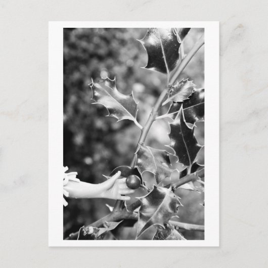 Once upon a time in the woods postkarte (Vorderseite)