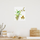 Oncidium Leucochilum Frische Pasta machen Poster (Küche)