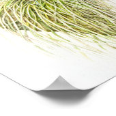 Oncidium Leucochilum Frische Pasta machen Poster (Ecke)
