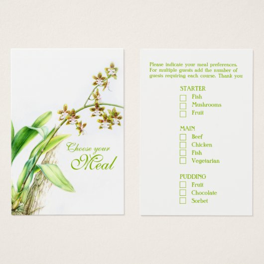 Oncidium Leucochilum orchid Blume grün (Vorne & Hinten)