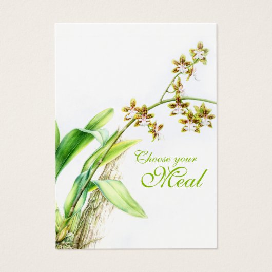 Oncidium Leucochilum orchid Blume grün (Vorderseite)