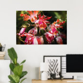 Oncidium Orchid - Augapfel Poster (Heimbüro)