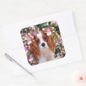 Oncidium Orchids Cavalier King Charles Stickers (Umschlag)