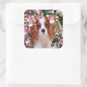 Oncidium Orchids Cavalier King Charles Stickers (Tasche)