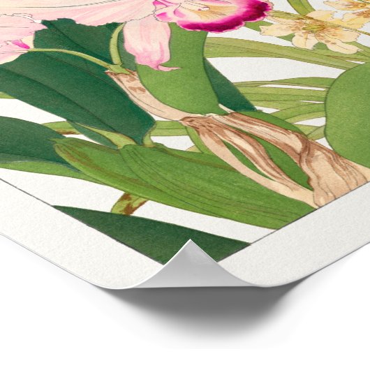 Oncidium von Tanigami Konan Poster (Ecke)