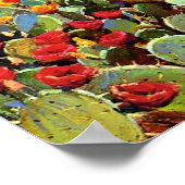 Onderdonk - Cactus in Bloom Poster (Ecke)