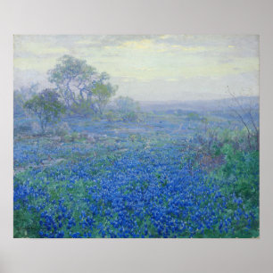 Onderdonk - Ein wolkiger Tag Bluebonnets 1918 Poster