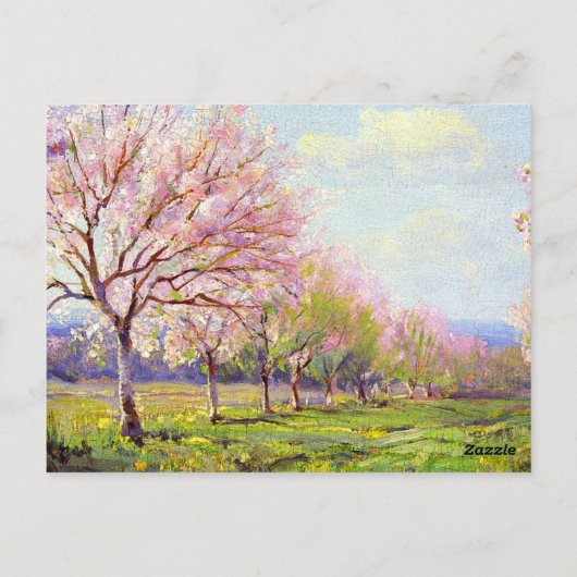 Onderdonk - Peach Orchard, Postkarte (Rückseite)
