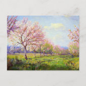 Onderdonk - Peach Orchard, Postkarte (Vorderseite)