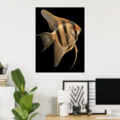 One Big Angelfish Print Poster (Heimbüro)