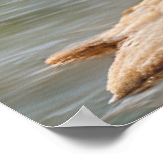 One Day in the Woods Poster (Ecke)