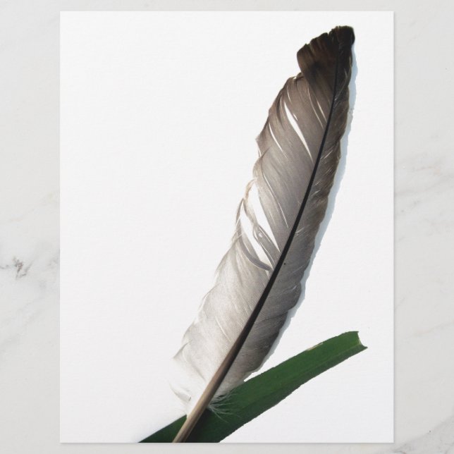 One Feather (Vorderseite)