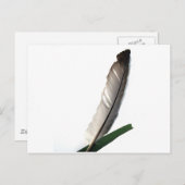 One Feather Postkarte (Vorne/Hinten)