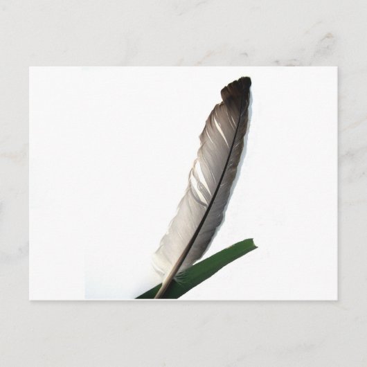One Feather Postkarte (Vorderseite)