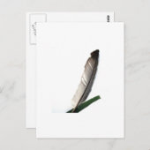 One Feather Postkarte (Vorne/Hinten)