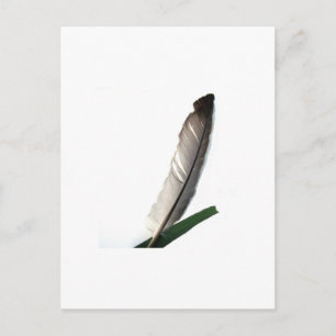 One Feather Postkarte