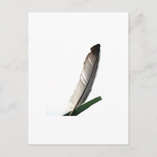 One Feather Postkarte (Vorderseite)