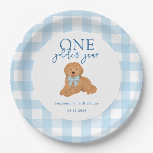 One Golden Year Golden Doodle Boys Birthday Pappteller (Vorderseite)