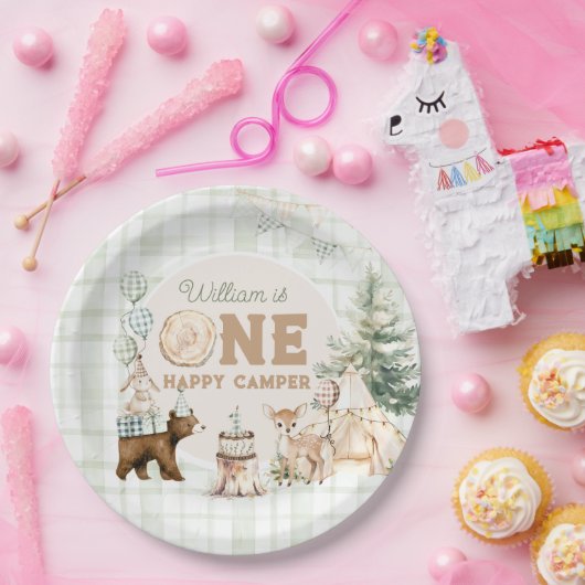 One Happy Camper Erster Geburtstag Pappteller (Party)